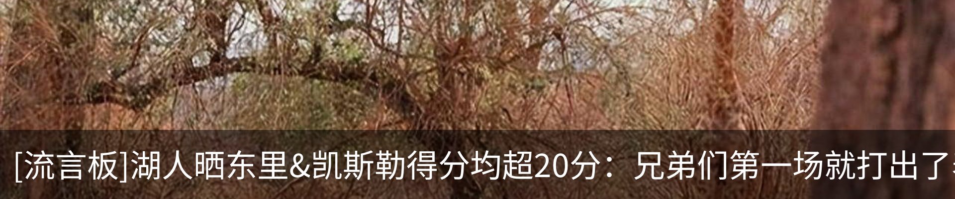 内页banner